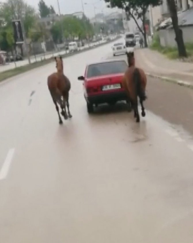 Bursa’da Tepki Çeken Görüntü