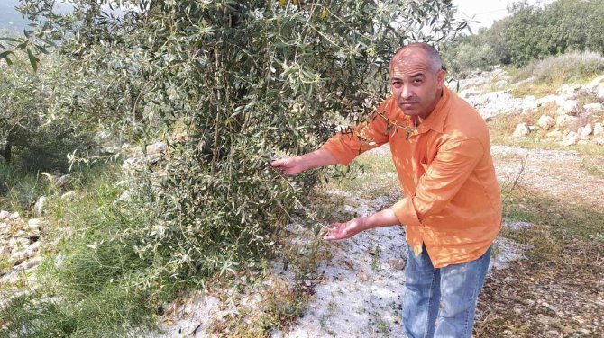 Tarsus’ta Dolu Ve Fırtına Etkili Oldu