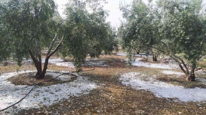 Tarsus’ta Dolu Ve Fırtına Etkili Oldu