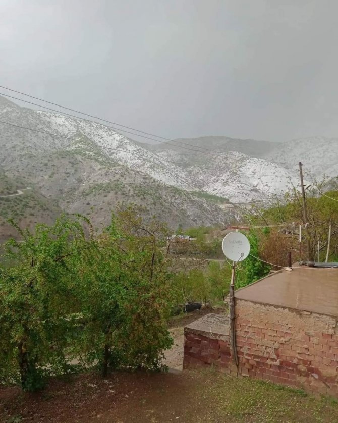 Elazığ’da Kayısıyı Dolu Vurdu