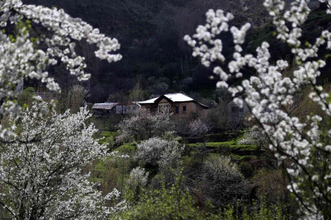 Tarihi Mahalle Bahar Renklerine Büründü, Görsel Şölen Oluştu