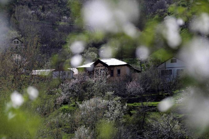 Tarihi Mahalle Bahar Renklerine Büründü, Görsel Şölen Oluştu