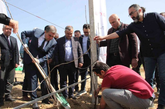 Türkiye’nin En Büyük Elma Üreticisi Hindistan’a Açılıyor