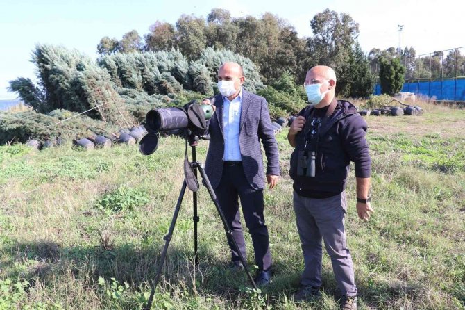 Hersek Lagünü’nde Kuş Türü 241’e Çıktı