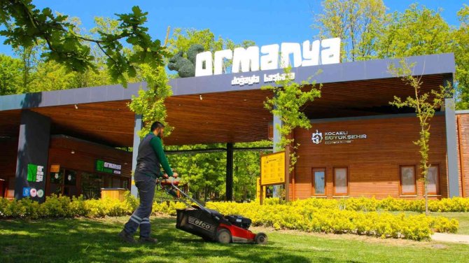 Ormanya Bayrama Hazır