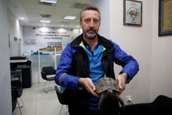 Şehir Trafiğinde Mahsur Kalan Kaplumbağaya Belediye Sahip Çıktı