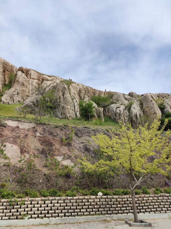 Koruma Altındaki Dağ Keçileri Harput’ta Görüntülendi