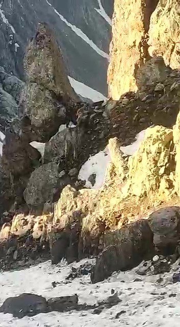 Yüksekova’da Sürü Halinde Dağ Keçileri Görüntülendi