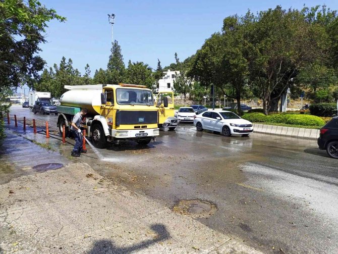 Bodrum’da Hummalı Bayram Temizliği