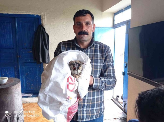Yaralı Baykuşu Baba-kız Tedavi Etti
