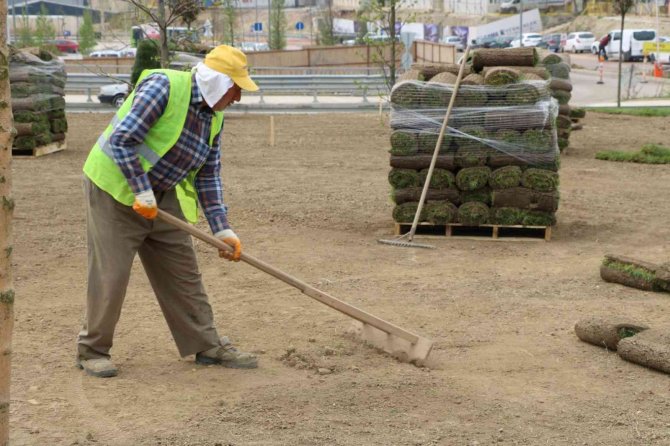 Şehir Hastanesi Yolu Güzelleşiyor