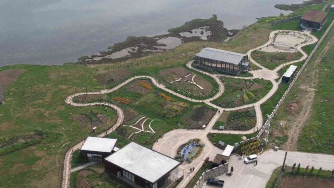 Yalova Altınova Tıbbı Bitki Üretiminde De Söz Sahibi Olacak