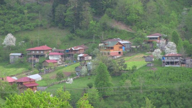 Büyük Şehirlerde Yaşam Şartları Zorlaşınca Köylerine Döndüler