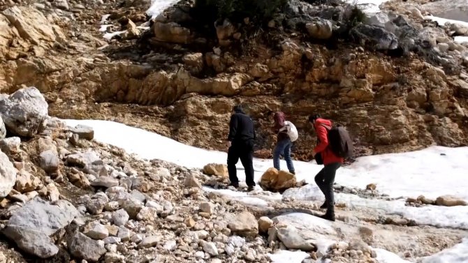 Sarp Dağlarda Yetişen Eşsiz Lezzet: ‘Çiriş Otu’