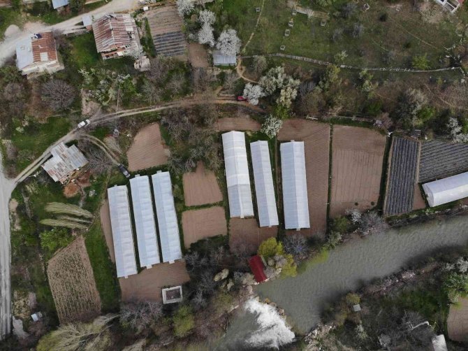 Gümüşhaneli Çiftçilere Destek Sağlandı, Üretim Arttı