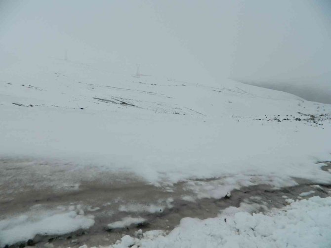 Mayıs Ayı Posof’a Karla Geldi