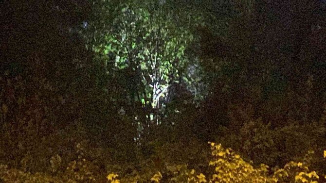 25 Gündür Aranan Gencin Cansız Bedeni Ormanda Bulundu
