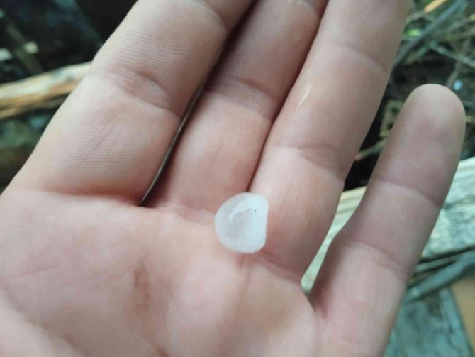 Adana’da Dolu Yağışı Etkili Oldu
