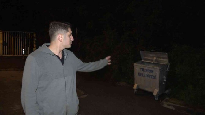 Bursa Şehir Merkezinde Ayı Paniği: Burun Buruna Geldiler