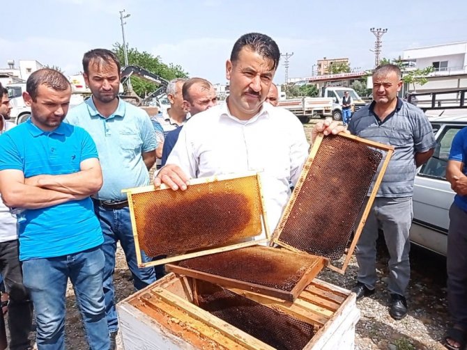 Kozanlı Arıcılar Sahte Bala Dikkat Çekti