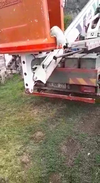 Önce Direkte Mahsur Kaldı, Sonra İnmemek İçin Direndi