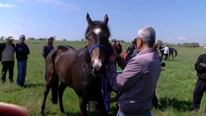 Kavasoğlu Ve Şamdancıbaşı İ̇brahim Yağlı Güreşleri, At Yarışları İle Başladı