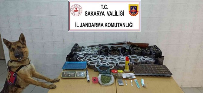 Ev Değil, Uyuşturucu İmalathanesi