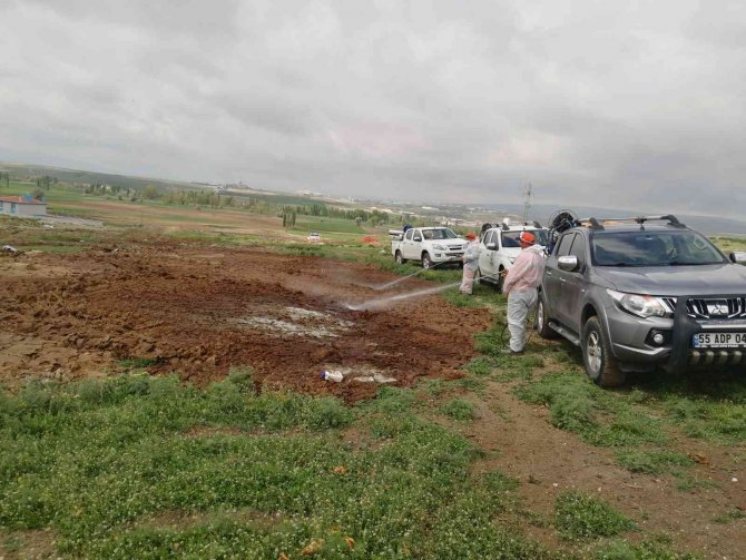 Çorum’da Vektörel Mücadele Çalışmaları Sürüyor