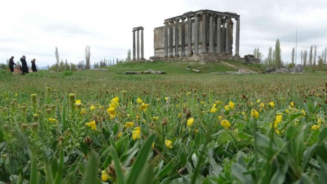 Aizanoi Antik Kenti’nde İlkbahar Güzelliği
