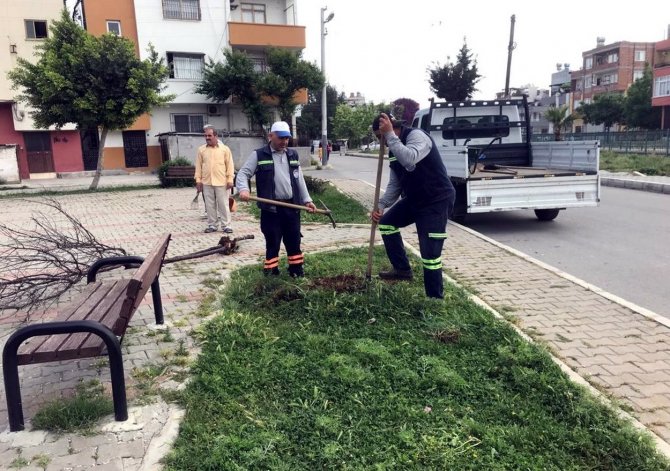 Akdeniz’de Yenileme Çalışmaları Aralıksız Sürüyor