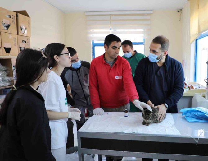 Makedon Öğrenciler Antalya Hayvanat Bahçesi’nde Eğitim Alıyor