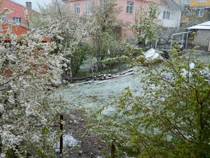 Kar Posof’u Beyaza Bürüdü