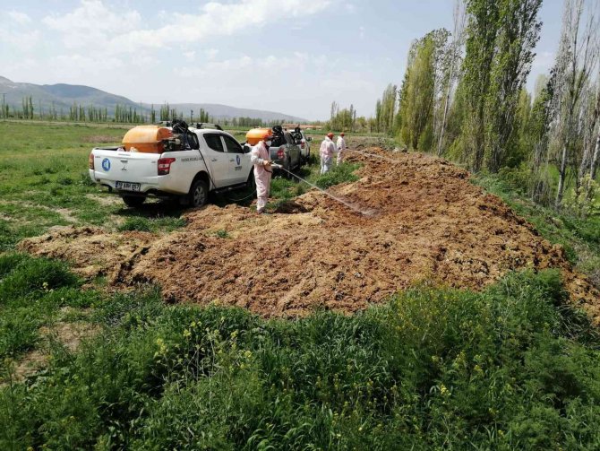 Çorum’da Vektörel Mücadele Çalışmaları Sürüyor