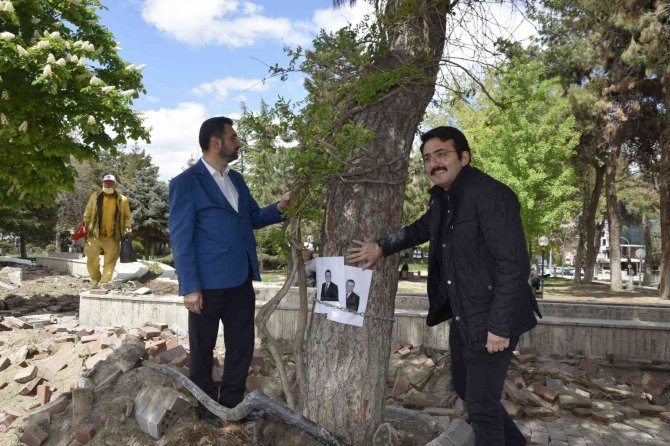Burdur Belediyesinin Kestiği Yarım Asırlık Çam Ağaçları İçin Zincirli Eylem