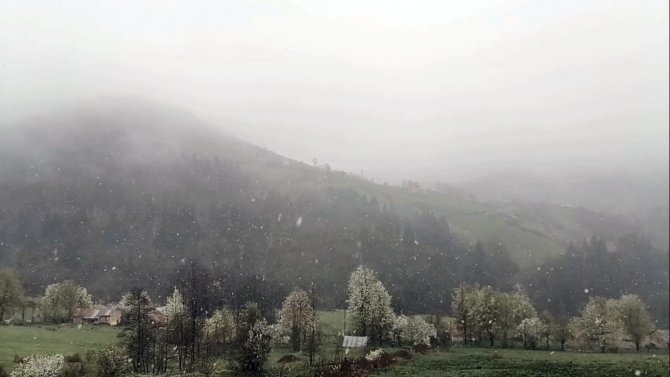 Giresun Yaylalarında Mayıs’ta Kar Sürprizi