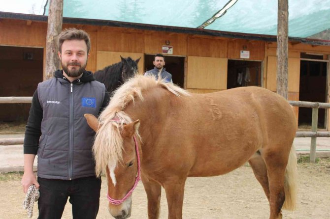 At İle İnsan İlişkisi İçerisinde Hippoterapi Yöntemi