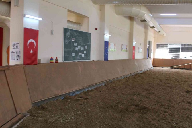 At İle İnsan İlişkisi İçerisinde Hippoterapi Yöntemi