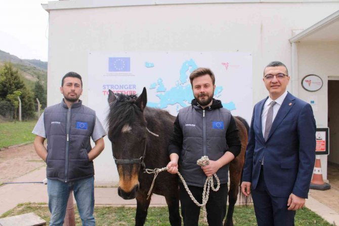 At İle İnsan İlişkisi İçerisinde Hippoterapi Yöntemi