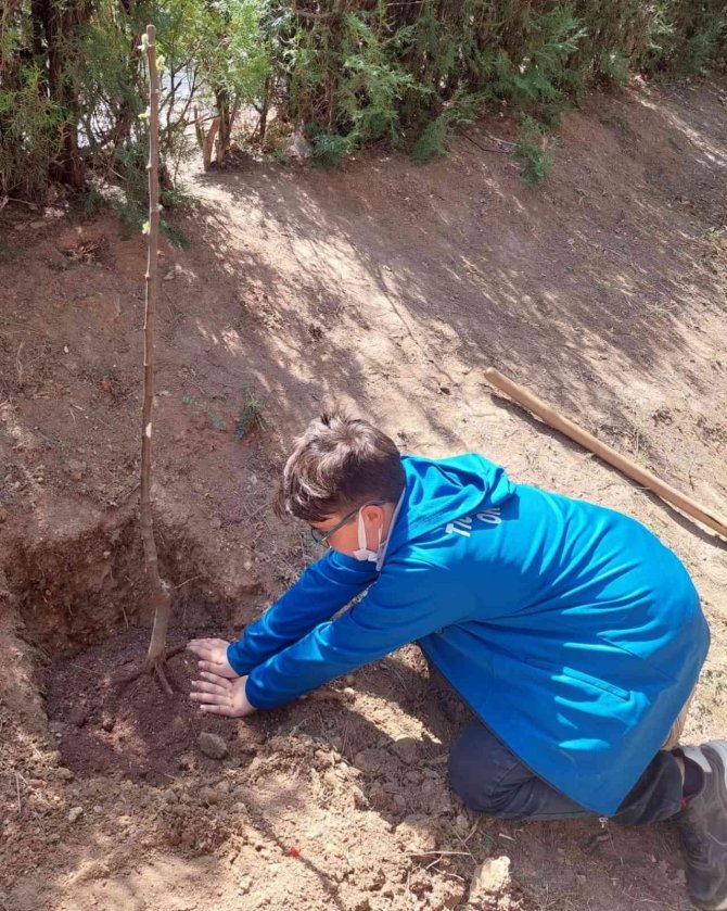 Öğrenciler ‘E-twinning’ Projesi İle Fidan Dikmeye Devam Ediyorlar