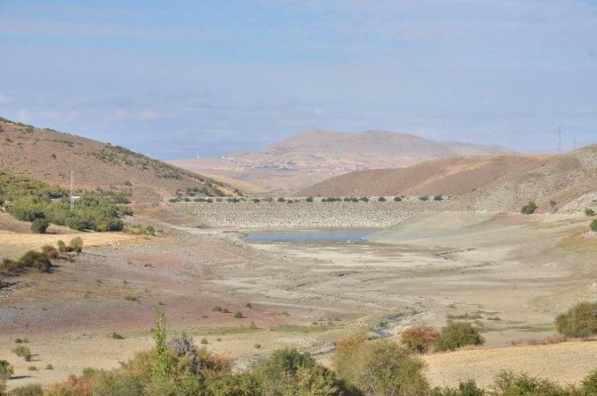 Tamamen Kuruyan Gölet, Yeniden Hayat Buldu