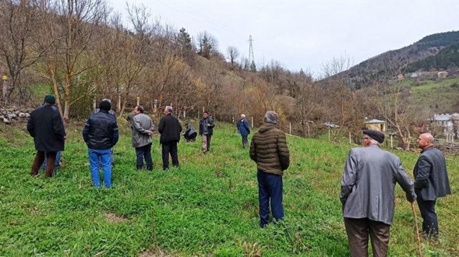 Kastamonu’da Üreticilere ’Meyve Ağaçlarında Budama Ve Aşılama’ Eğitimi Verildi