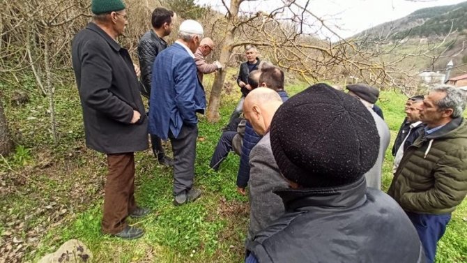 Kastamonu’da Üreticilere ’Meyve Ağaçlarında Budama Ve Aşılama’ Eğitimi Verildi