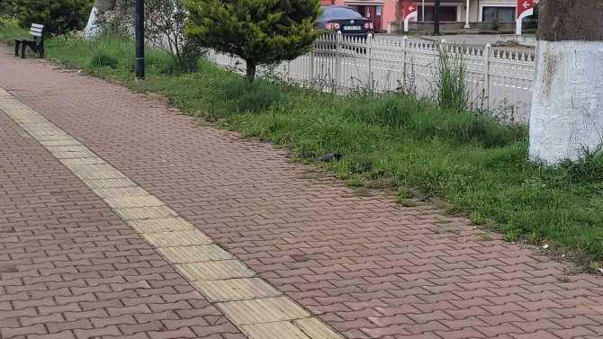 Tartıştığı Şahsı Pompalı Tüfekle Yaraladı