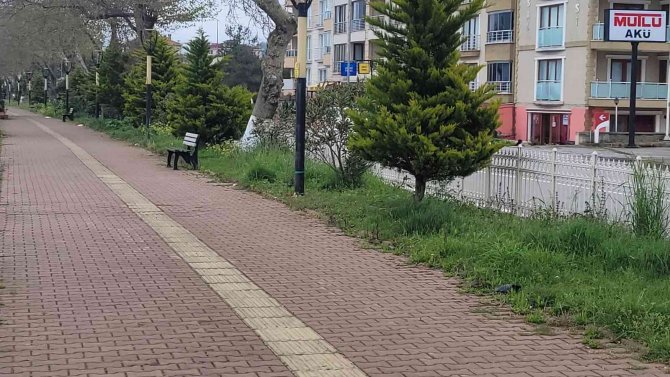 Tartıştığı Şahsı Pompalı Tüfekle Yaraladı