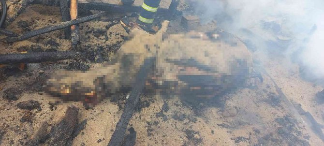Kırklareli’nde Ağıl Yangını: 1 İnek Telef Oldu