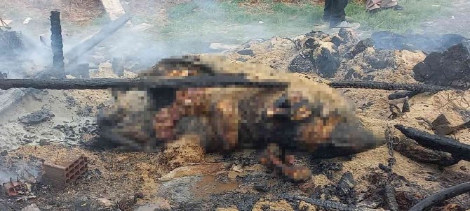 Kırklareli’nde Ağıl Yangını: 1 İnek Telef Oldu