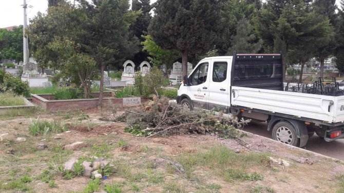 Toplanan Dal Ve Otlar Geri Dönüştürülüyor