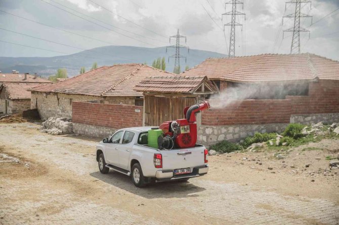 Kütahya’da Karasinekle Mücadele