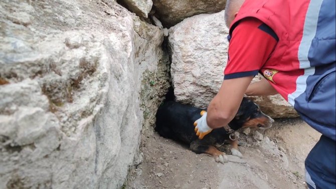 Tilkinin Peşinden Girdikleri Obrukta Sıkışan Köpekleri İtfaiye Kurtardı