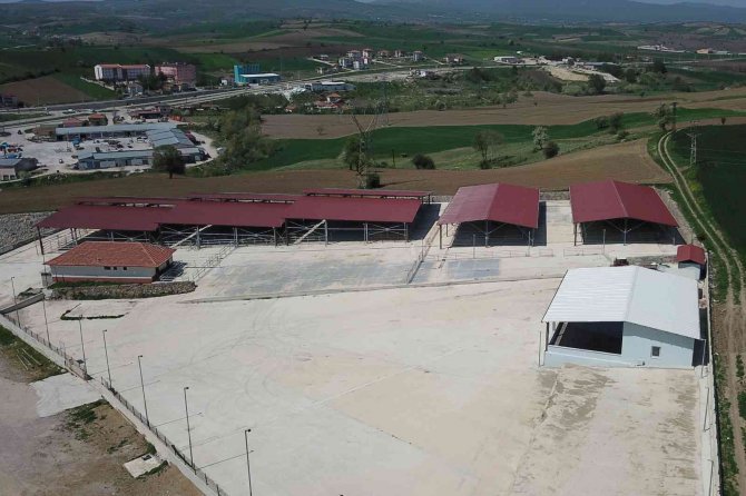 Havza Kapalı Canlı Hayvan Pazarı Yarın Hizmete Girecek